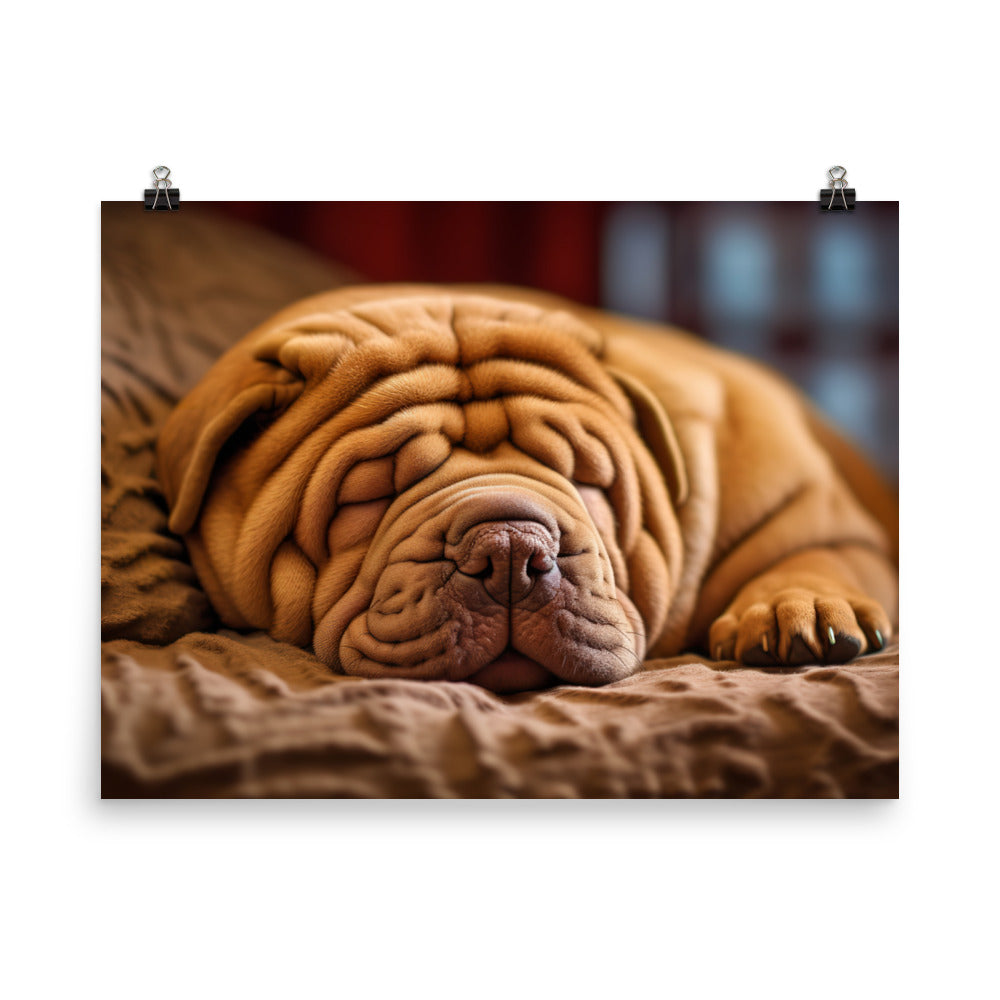 Shar Pei Dreaming photo paper poster - Posterfy.AI