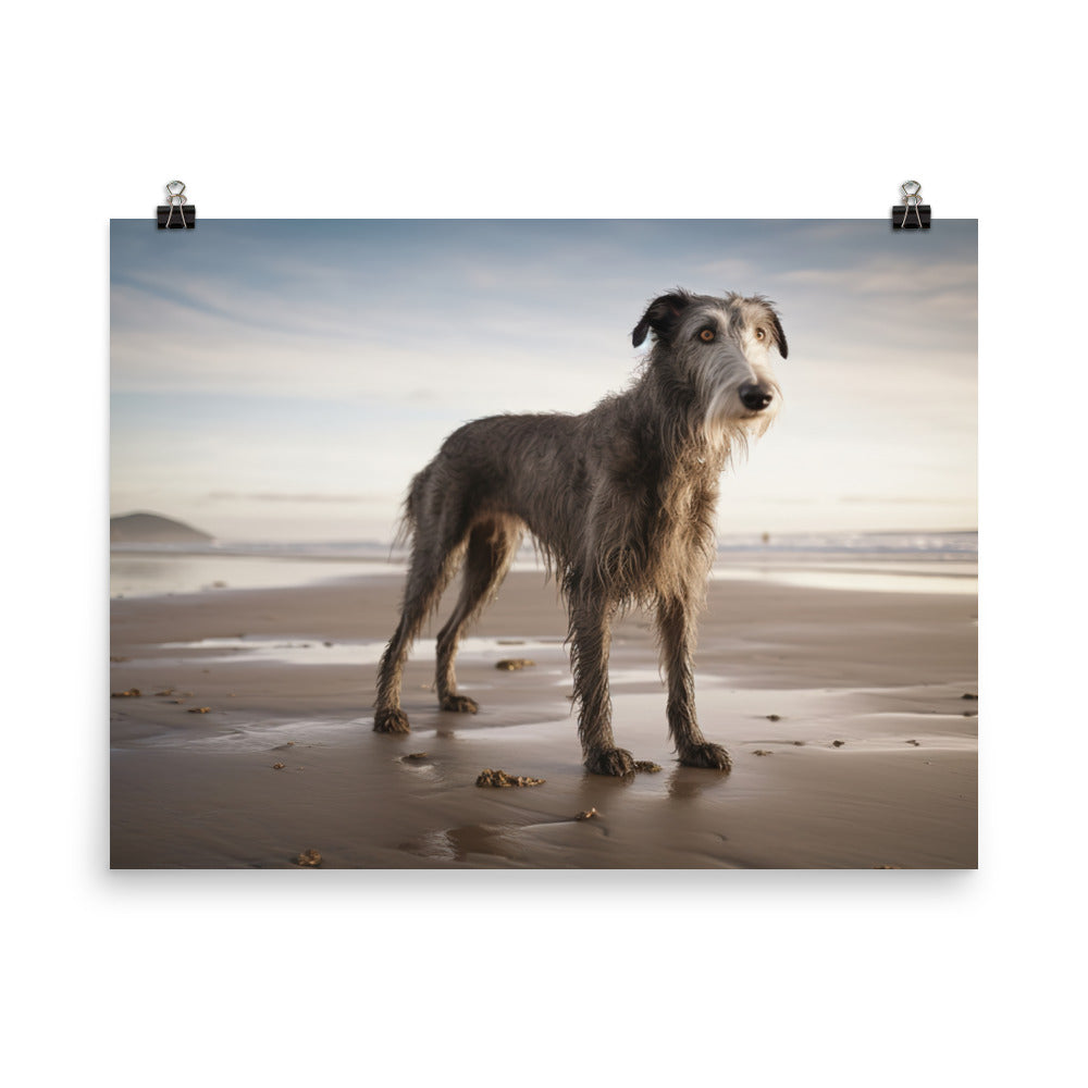 Scottish Deerhound on the Beach photo paper poster - Posterfy.AI
