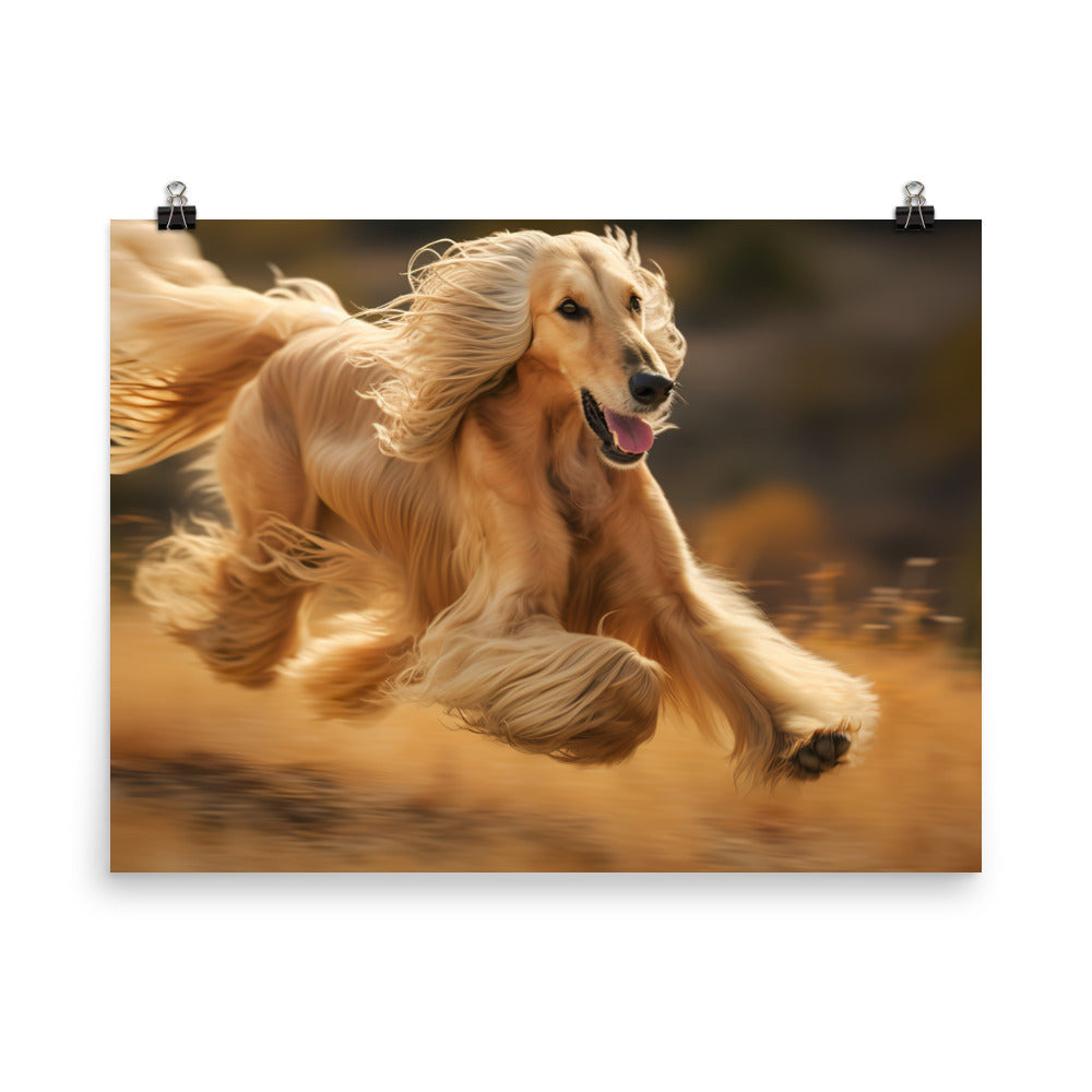 Graceful Afghan Hound in motion photo paper poster - Posterfy.AI