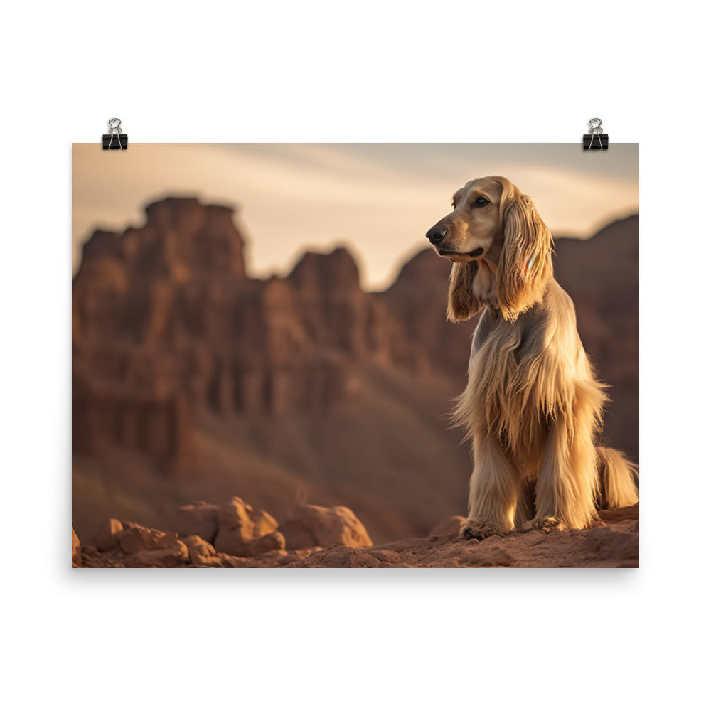 Afghan Hound in a natural environment photo paper poster - Posterfy.AI