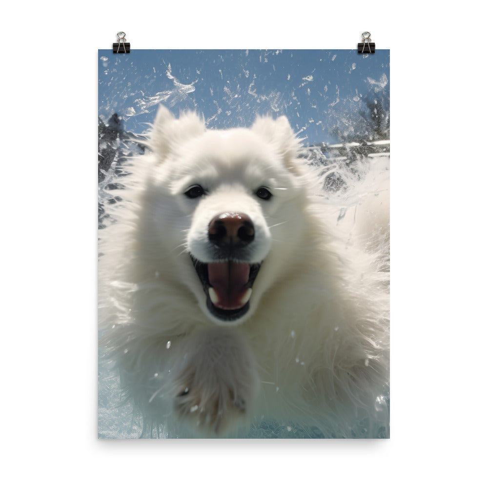 Samoyed Splash Photo paper poster - PosterfyAI.com