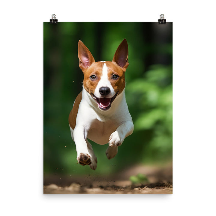 Running Basenji Photo paper poster - PosterfyAI.com