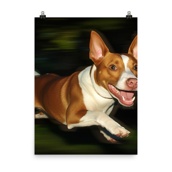 Running Basenji Photo paper poster - PosterfyAI.com