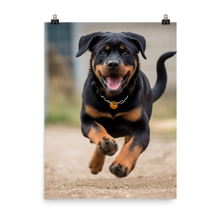 Rottweilers playful side in action Photo paper poster - PosterfyAI.com