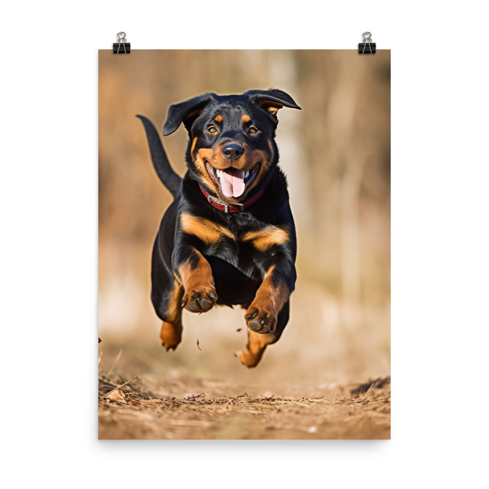 Rottweilers playful side in action Photo paper poster - PosterfyAI.com