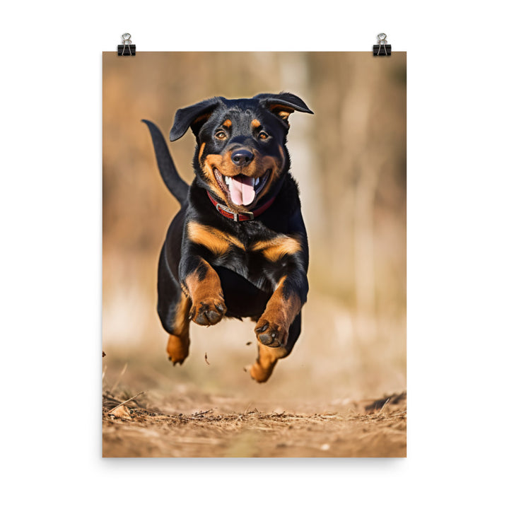Rottweilers playful side in action Photo paper poster - PosterfyAI.com