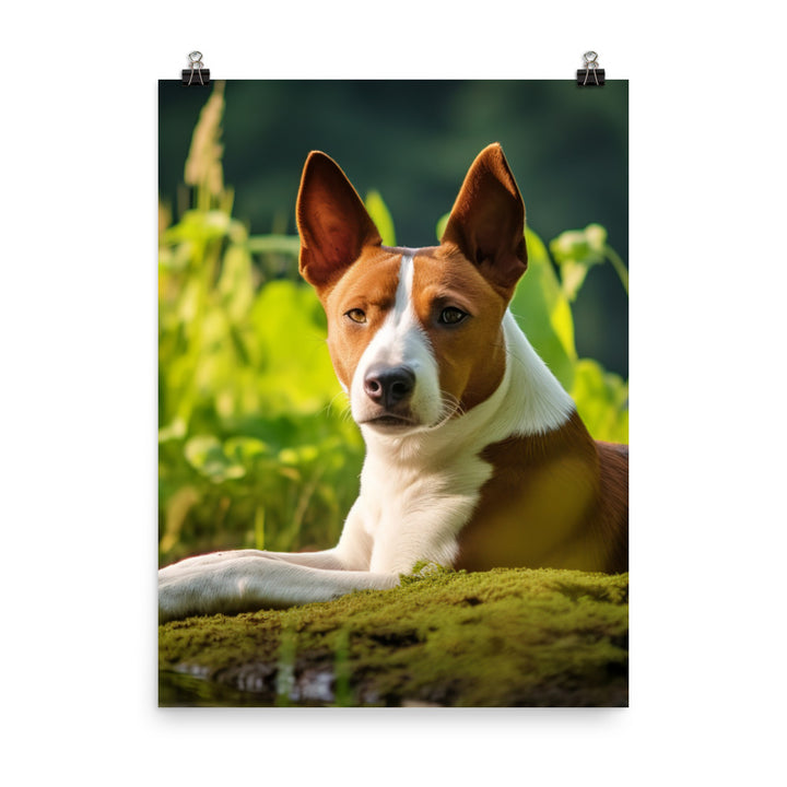 Relaxing Basenji Photo paper poster - PosterfyAI.com
