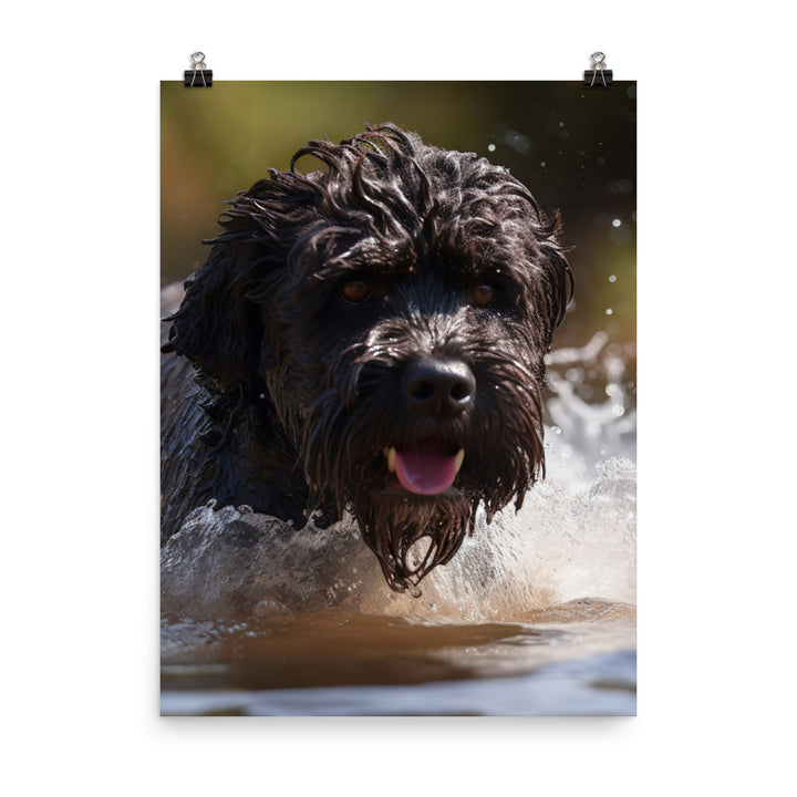 Portuguese Water Dog playing Photo paper poster - PosterfyAI.com
