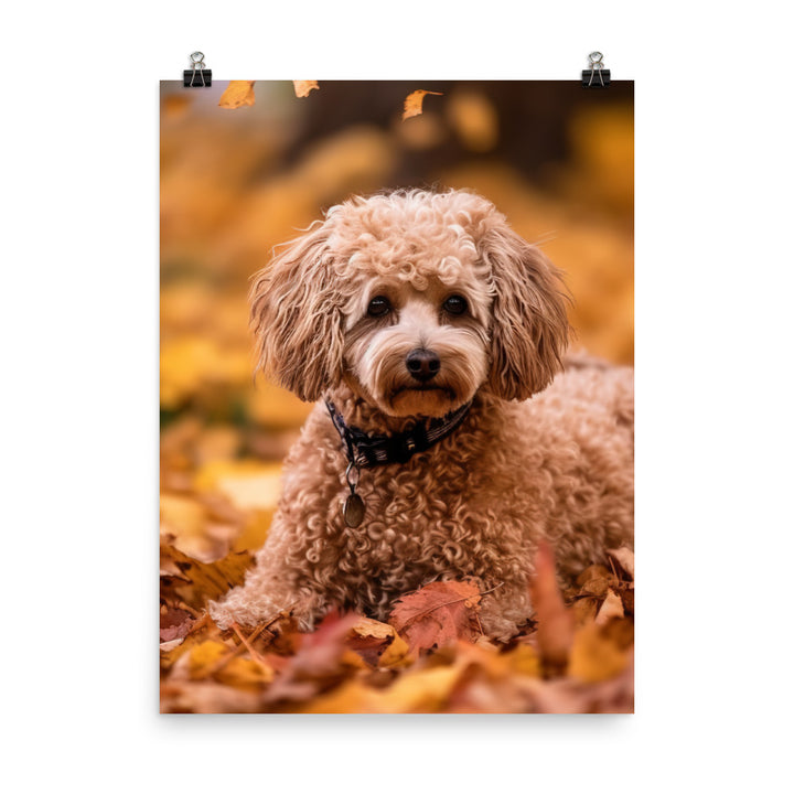 Poodle in Autumn Leaves Photo paper poster - PosterfyAI.com