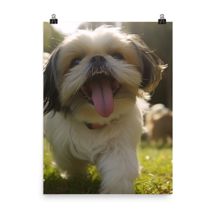 Playful Shih Tzu in a Park Photo paper poster - PosterfyAI.com