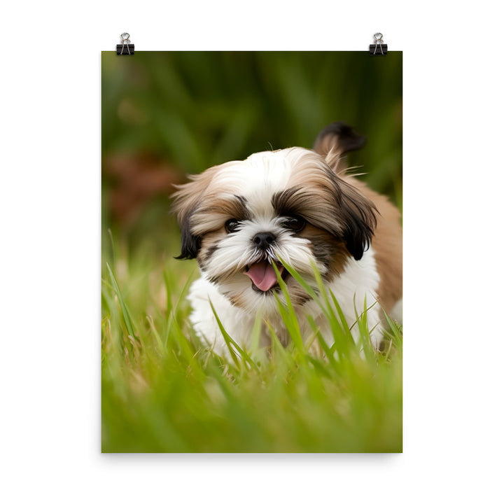Playful Shih Tzu Enjoying the Outdoors Photo paper poster - PosterfyAI.com