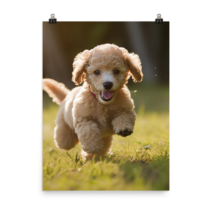 Playful Poodle Pup Photo paper poster - PosterfyAI.com