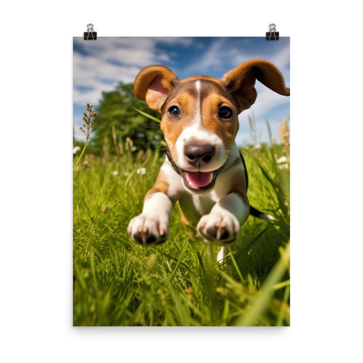 Playful Greyhound Pup Photo paper poster - PosterfyAI.com