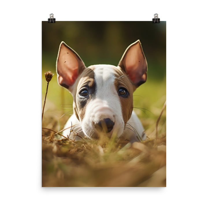 Playful Bull Terrier Pup Photo paper poster - PosterfyAI.com