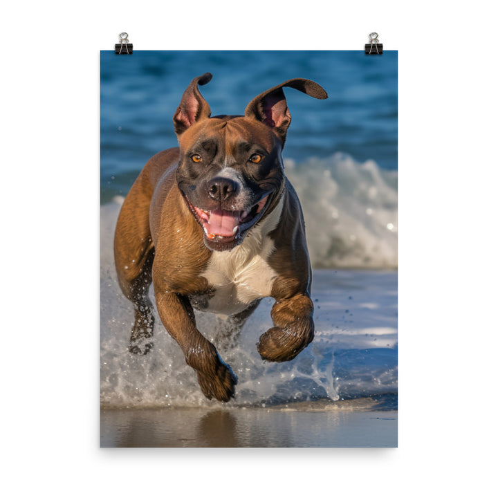 Playful American Staffordshire Terrier Photo paper poster - PosterfyAI.com