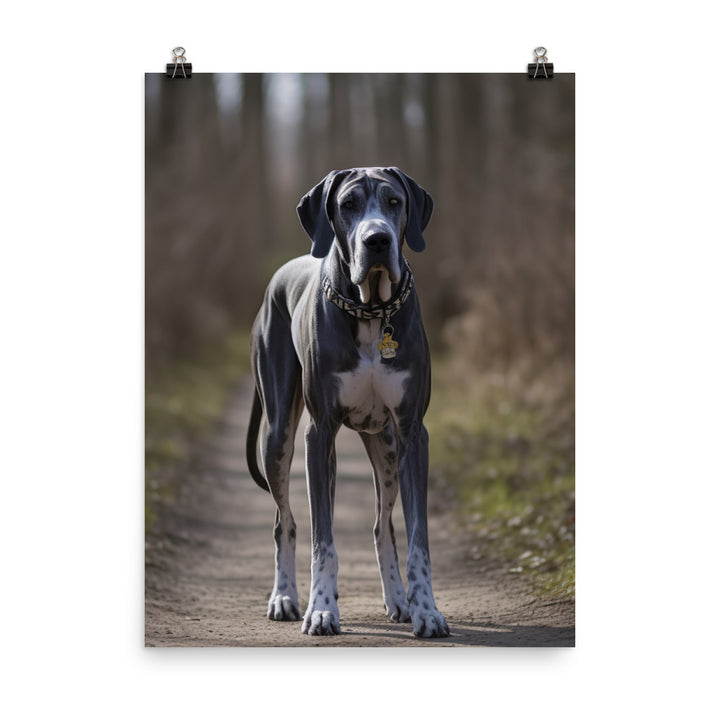Majestic Great Dane on a Stroll Photo paper poster - PosterfyAI.com