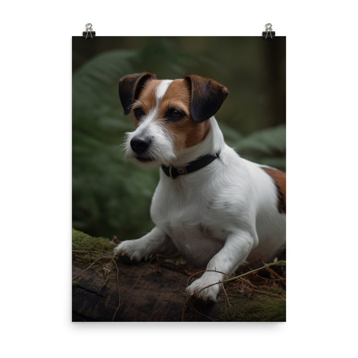 Loyal Jack Russell Terrier Photo paper poster - PosterfyAI.com
