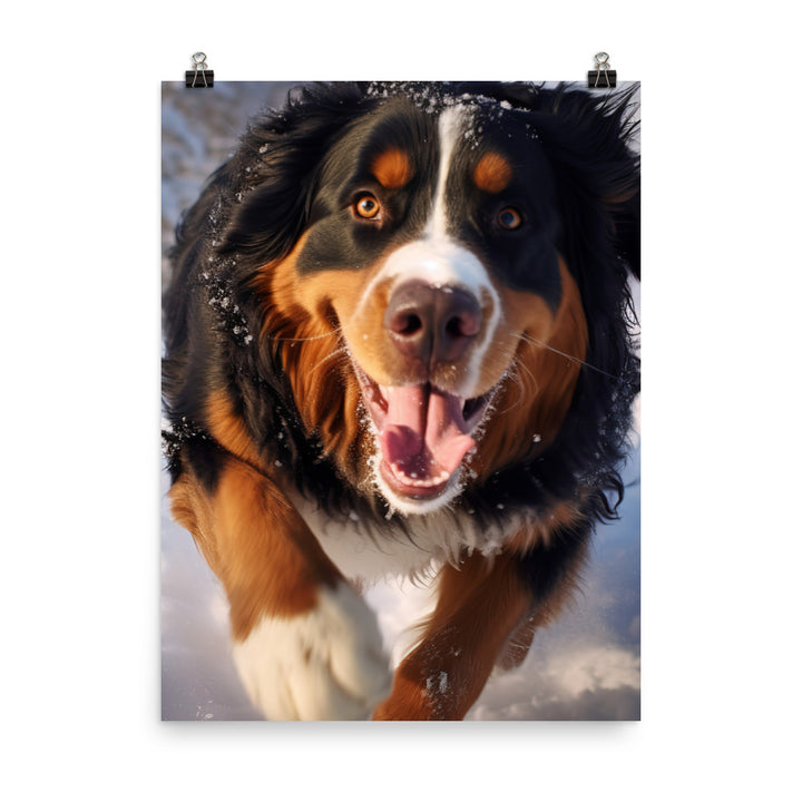 Happy Bernese Mountain Dog Photo paper poster - PosterfyAI.com