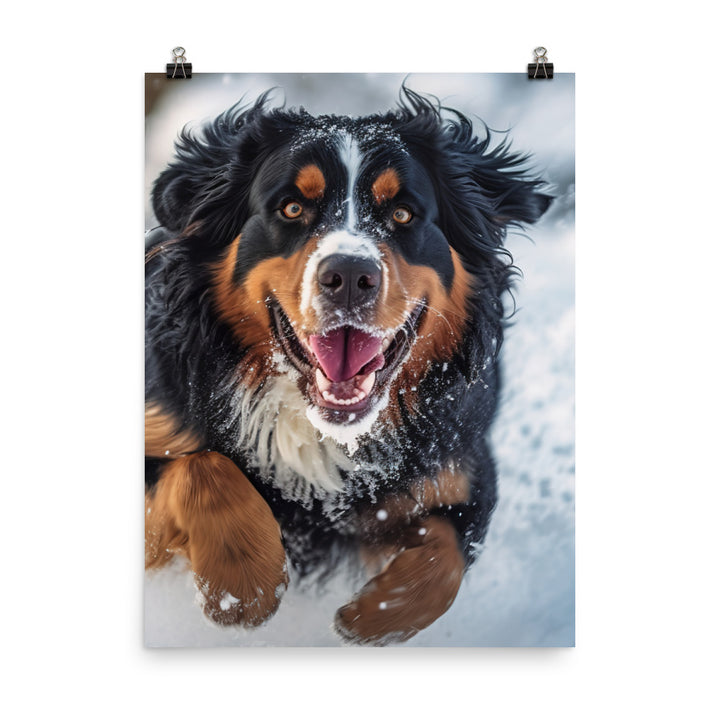 Happy Bernese Mountain Dog Photo paper poster - PosterfyAI.com