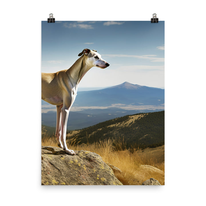 Greyhound in Nature Photo paper poster - PosterfyAI.com