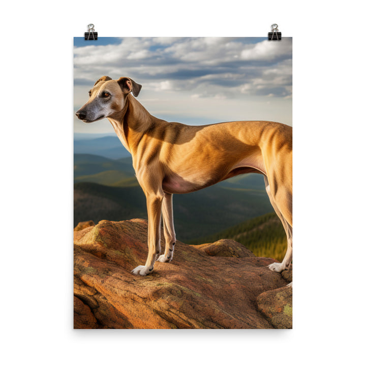 Greyhound in Nature Photo paper poster - PosterfyAI.com
