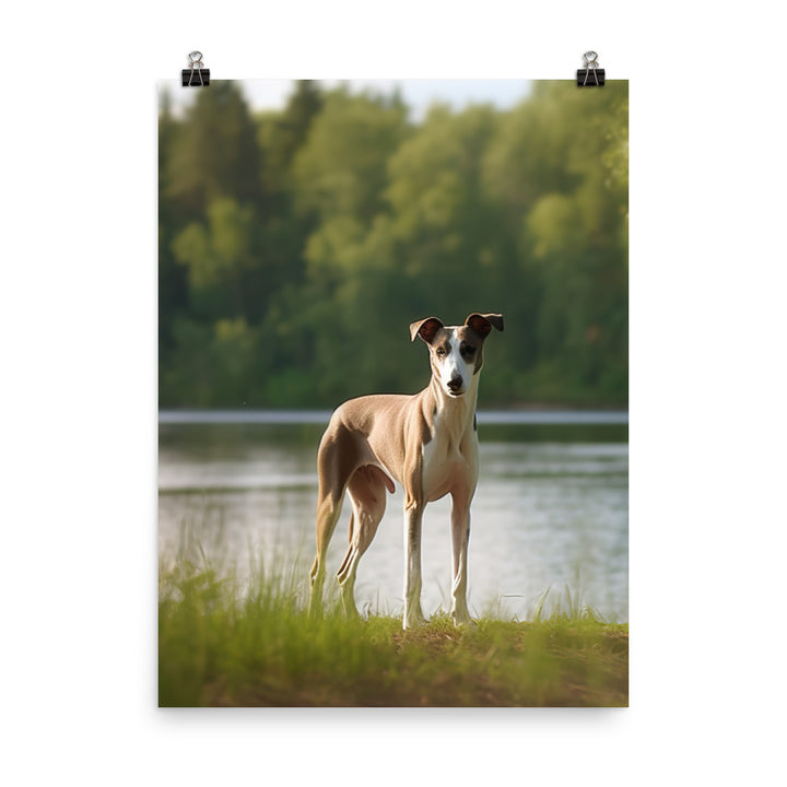 Greyhound by the Lake Photo paper poster - PosterfyAI.com