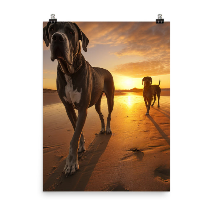 Great Danes at Sunset Photo paper poster - PosterfyAI.com