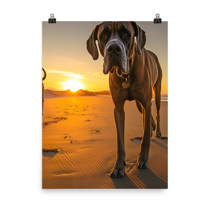Great Danes at Sunset Photo paper poster - PosterfyAI.com