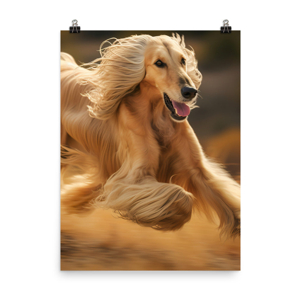 Graceful Afghan Hound in motion Photo paper poster - PosterfyAI.com