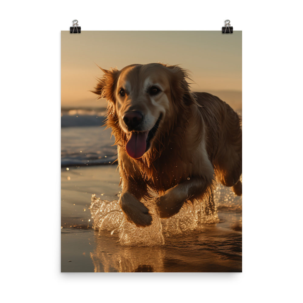 Golden Retriever at the Beach Photo paper poster - PosterfyAI.com