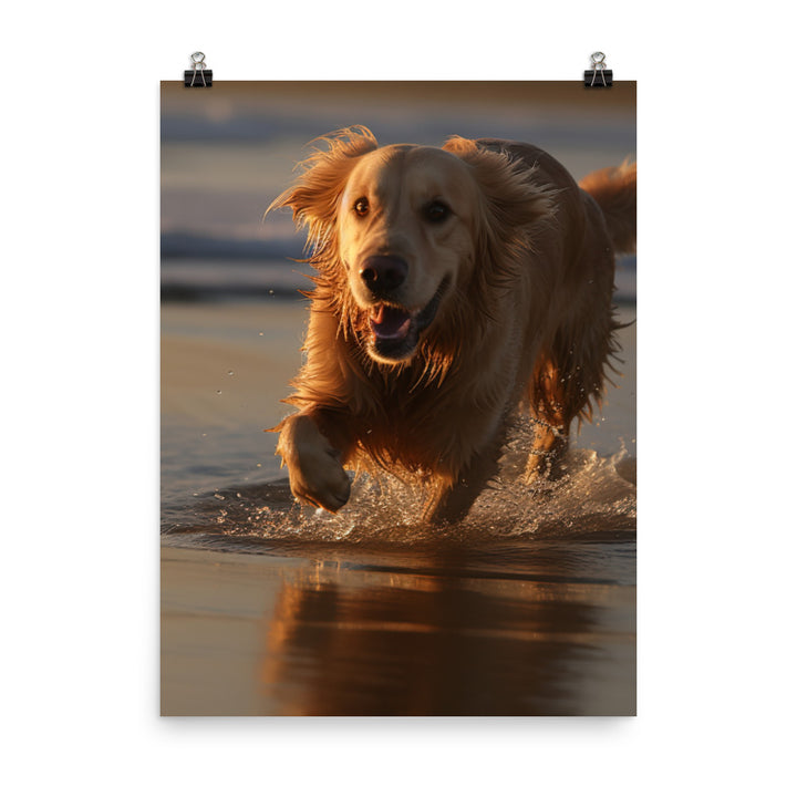 Golden Retriever at the Beach Photo paper poster - PosterfyAI.com