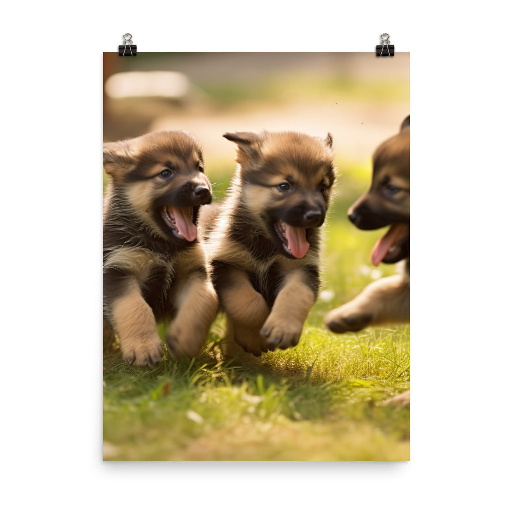 German Shepherd Puppies Photo paper poster - PosterfyAI.com