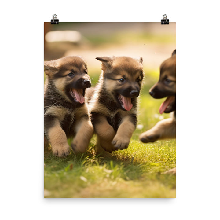 German Shepherd Puppies Photo paper poster - PosterfyAI.com