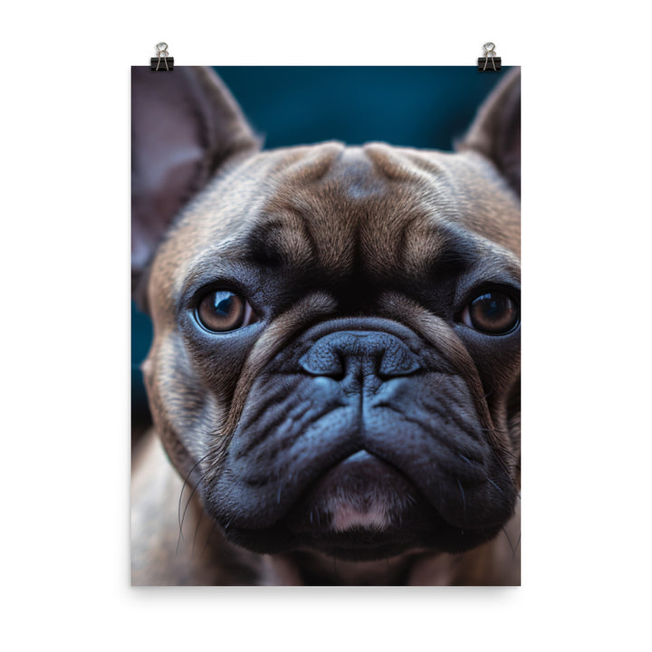 Frenchie portrait Photo paper poster - PosterfyAI.com