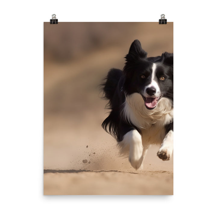 Energetic Border Collie in Action Photo paper poster - PosterfyAI.com