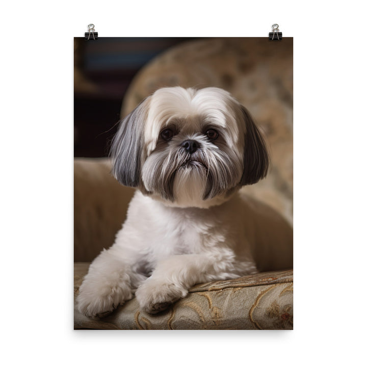 Elegant Shih Tzu Portrait Photo paper poster - PosterfyAI.com