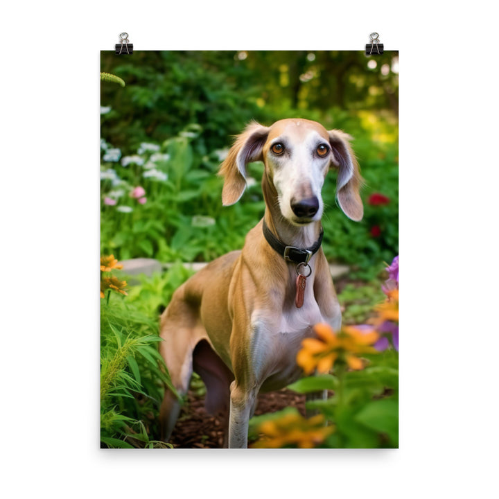 Elegant Saluki Photo paper poster - PosterfyAI.com
