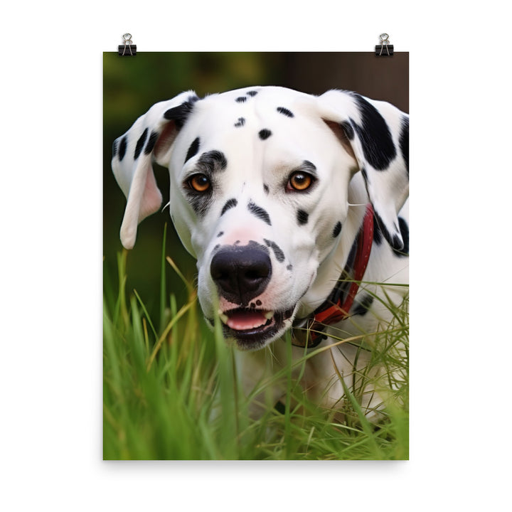 Dalmatian Photo paper poster - PosterfyAI.com