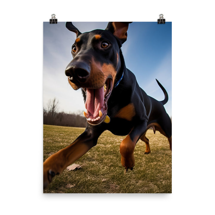 Doberman Pinschers love of running Photo paper poster - PosterfyAI.com