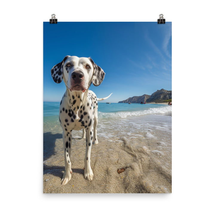 Dalmatian on the Beach Photo paper poster - PosterfyAI.com