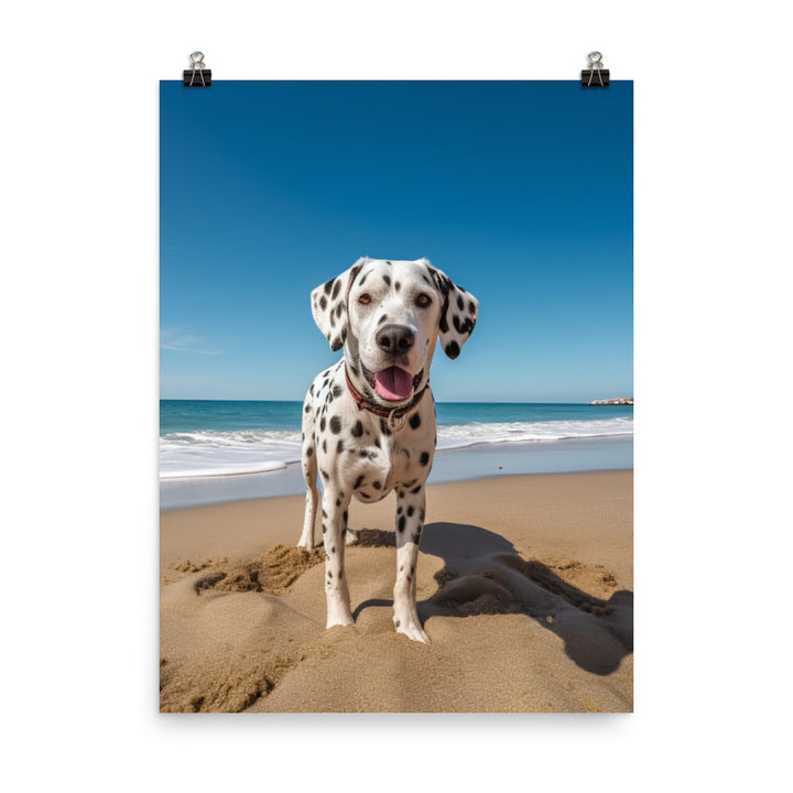 Dalmatian on the Beach Photo paper poster - PosterfyAI.com