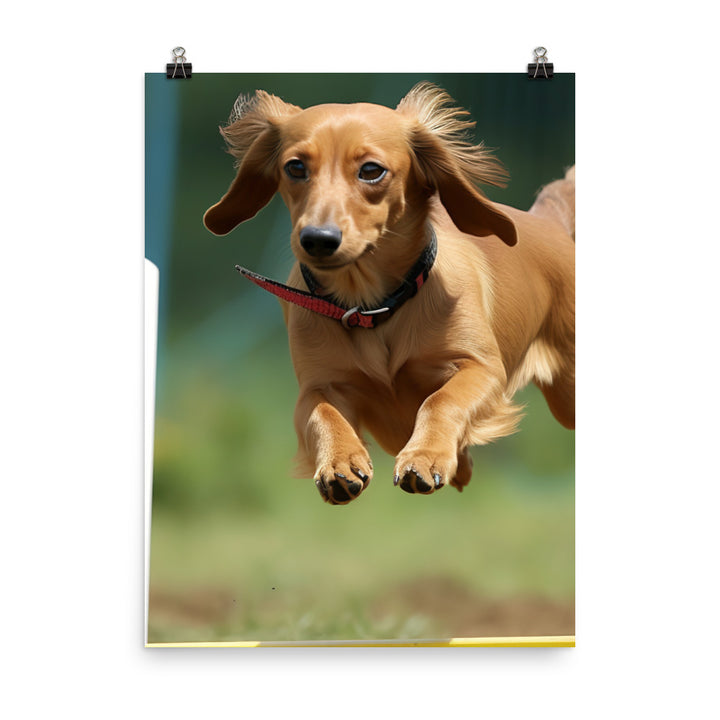 Dachshund Agility Training Photo paper poster - PosterfyAI.com