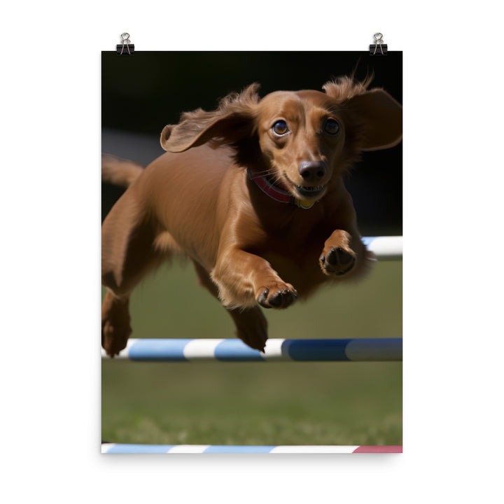 Dachshund Agility Training Photo paper poster - PosterfyAI.com