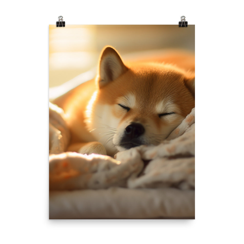 Cuddly Shiba Inu Resting Photo paper poster - PosterfyAI.com