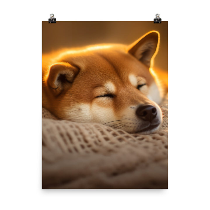 Cuddly Shiba Inu Resting Photo paper poster - PosterfyAI.com