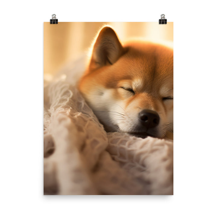 Cuddly Shiba Inu Resting Photo paper poster - PosterfyAI.com