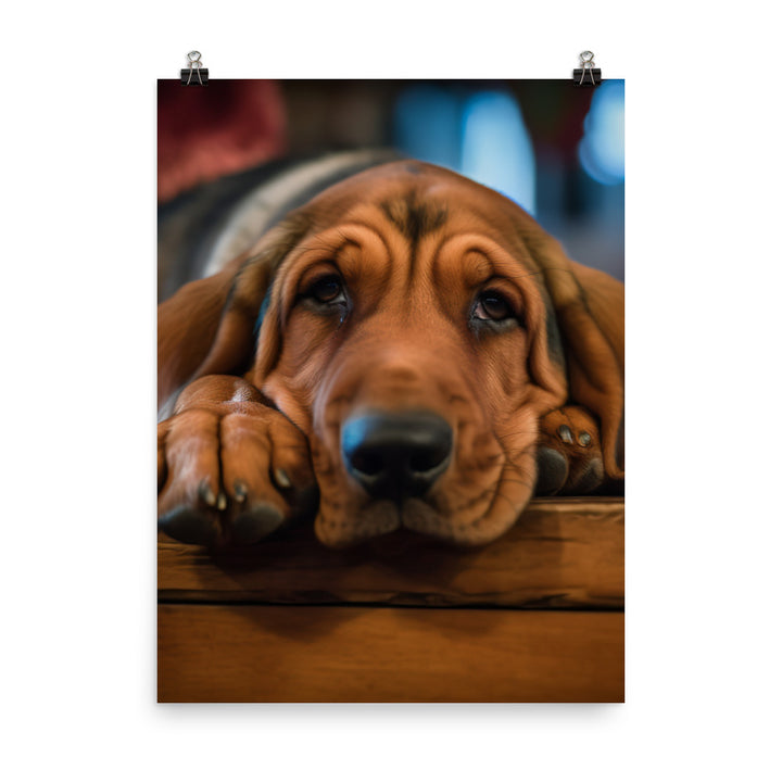 Cuddles with a Bloodhound Photo paper poster - PosterfyAI.com