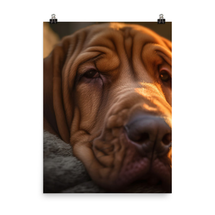 Cuddles with a Bloodhound Photo paper poster - PosterfyAI.com