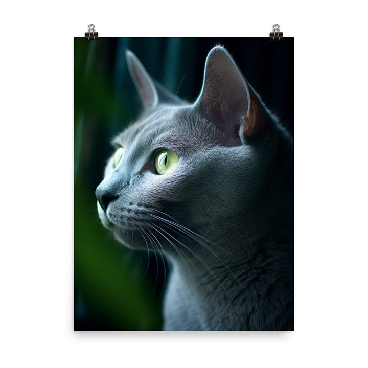 Russian Blue Cat Photo paper poster - PosterfyAI.com