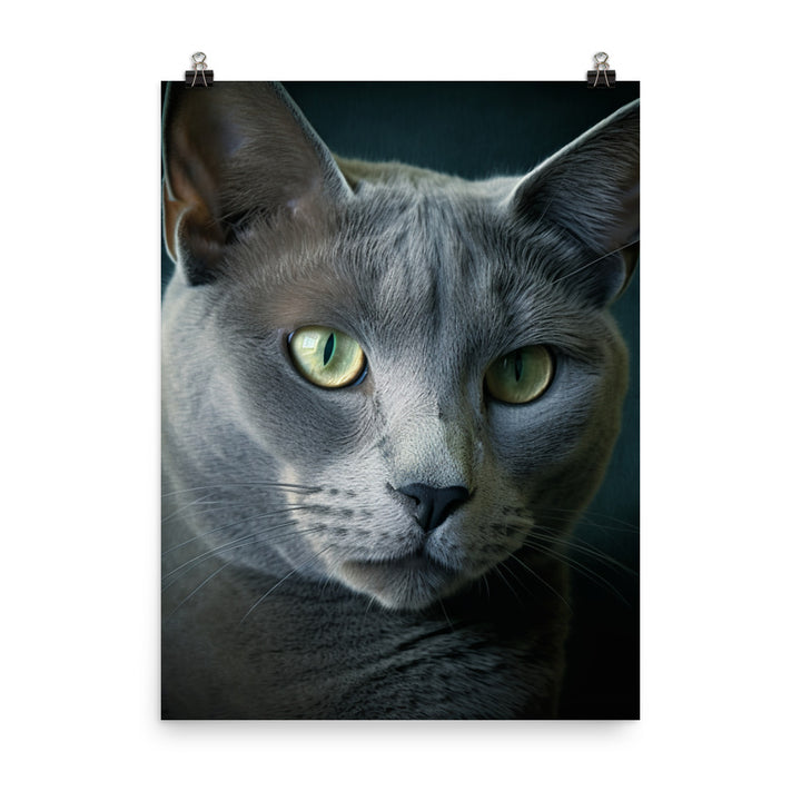 Russian Blue Cat Photo paper poster - PosterfyAI.com
